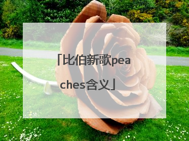 比伯新歌peaches含义