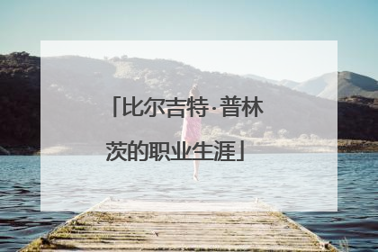 比尔吉特·普林茨的职业生涯