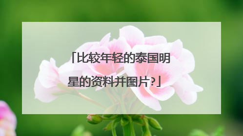 比较年轻的泰国明星的资料并图片?