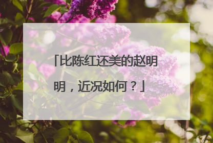 比陈红还美的赵明明,近况如何?