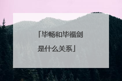 毕畅和毕福剑是什么关系