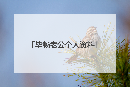 毕畅老公个人资料