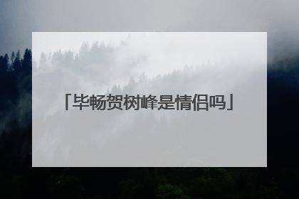 毕畅贺树峰是情侣吗