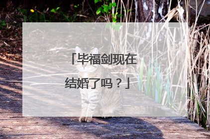 毕福剑现在结婚了吗？