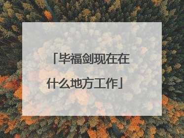 毕福剑现在在什么地方工作
