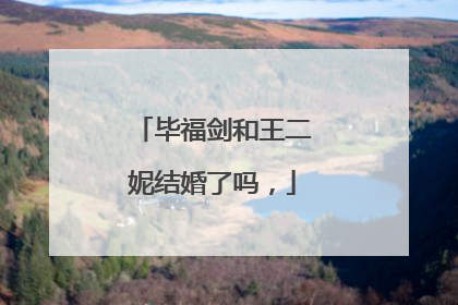 毕福剑和王二妮结婚了吗，