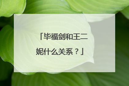 毕福剑和王二妮什么关系？