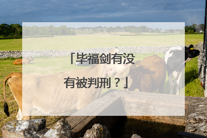毕福剑有没有被判刑?