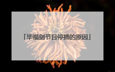 毕福剑节目停播的原因