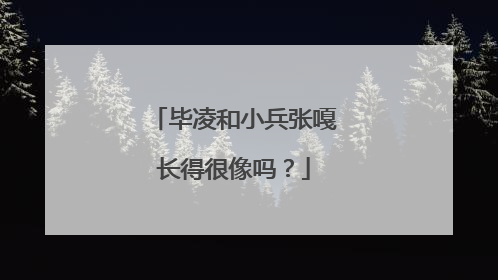 毕凌和小兵张嘎长得很像吗？