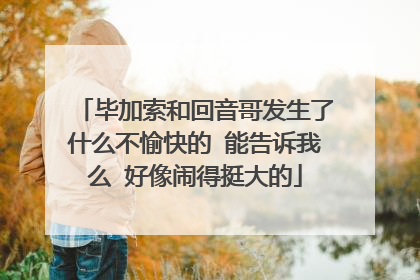 毕加索和回音哥发生了什么不愉快的 能告诉我么 好像闹得挺大的