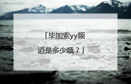 毕加索yy频道是多少哦?