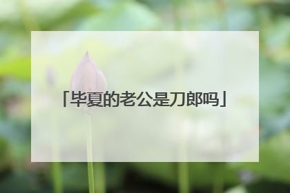 毕夏的老公是刀郎吗