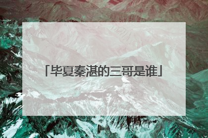 毕夏秦湛的三哥是谁