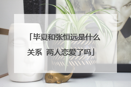 毕夏和张恒远是什么关系 两人恋爱了吗