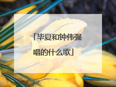 毕夏和钟伟强唱的什么歌
