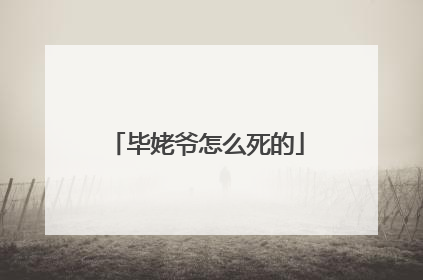 毕姥爷怎么死的