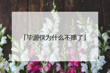 毕游侠为什么不播了