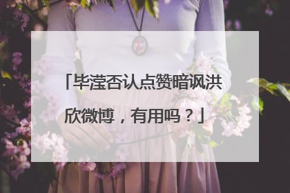 毕滢否认点赞暗讽洪欣微博，有用吗？