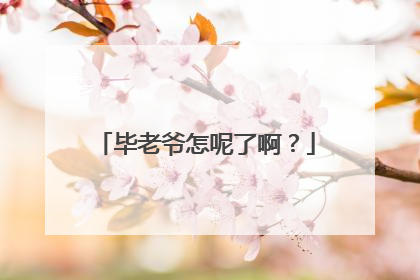 毕老爷怎呢了啊?