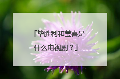 毕胜利和莹喜是什么电视剧？