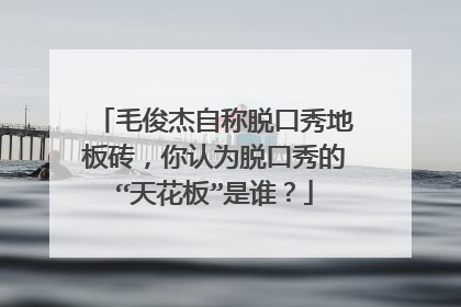 毛俊杰自称脱口秀地板砖，你认为脱口秀的“天花板”是谁？