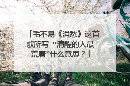 毛不易《消愁》这首歌所写 “清醒的人最荒唐”什么意思？