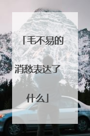 毛不易的消愁表达了什么