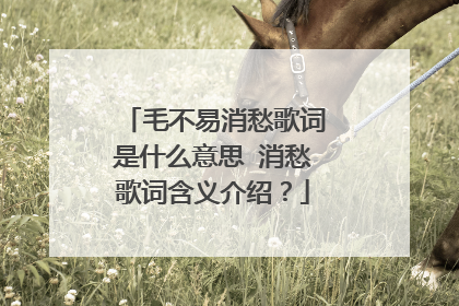 毛不易消愁歌词是什么意思 消愁歌词含义介绍？