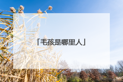 毛孩是哪里人