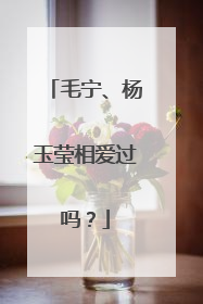 毛宁、杨玉莹相爱过吗?
