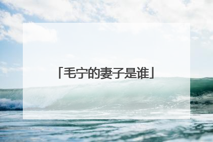 毛宁的妻子是谁