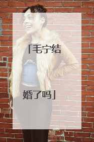毛宁结婚了吗