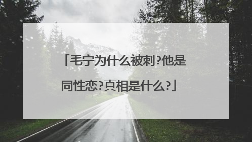 毛宁为什么被刺?他是同性恋?真相是什么?