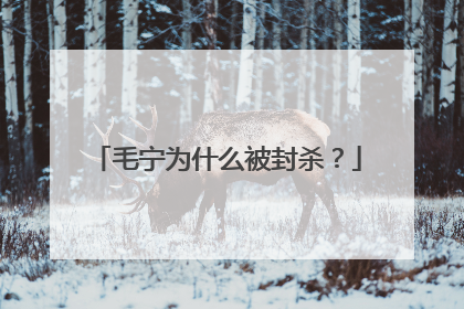 毛宁为什么被封杀？