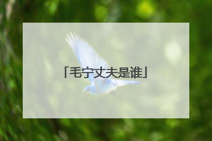 毛宁丈夫是谁