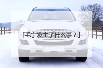 毛宁发生了什么事？