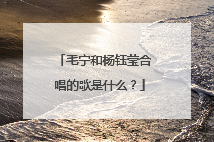 毛宁和杨钰莹合唱的歌是什么?