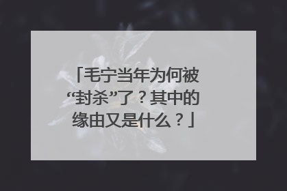 毛宁当年为何被 “封杀”了？其中的缘由又是什么？