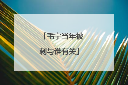 毛宁当年被刺与谁有关