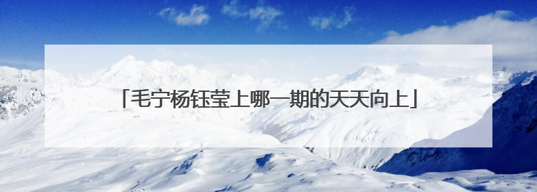 毛宁杨钰莹上哪一期的天天向上