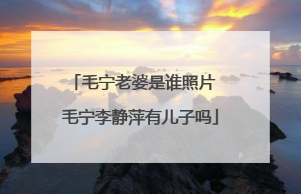 毛宁老婆是谁照片 毛宁李静萍有儿子吗