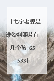 毛宁老婆是谁资料照片有几个孩 65533