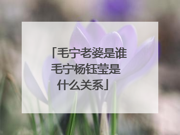 毛宁老婆是谁 毛宁杨钰莹是什么关系