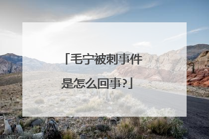 毛宁被刺事件是怎么回事?