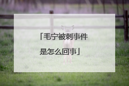 毛宁被刺事件是怎么回事