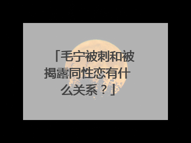 毛宁被刺和被揭露同性恋有什么关系?