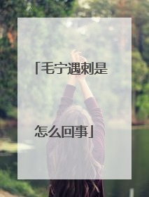 毛宁遇刺是怎么回事