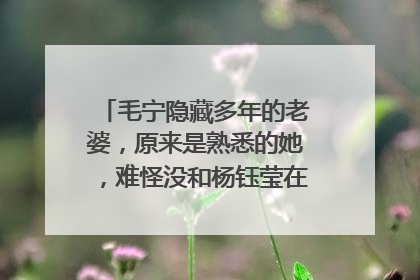 毛宁隐藏多年的老婆，原来是熟悉的她，难怪没和杨钰莹在一起，是谁呢？