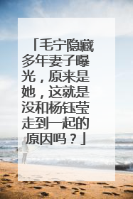 毛宁隐藏多年妻子曝光,原来是她,这就是没和杨钰莹走到一起的原因吗?